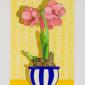 Amarillys